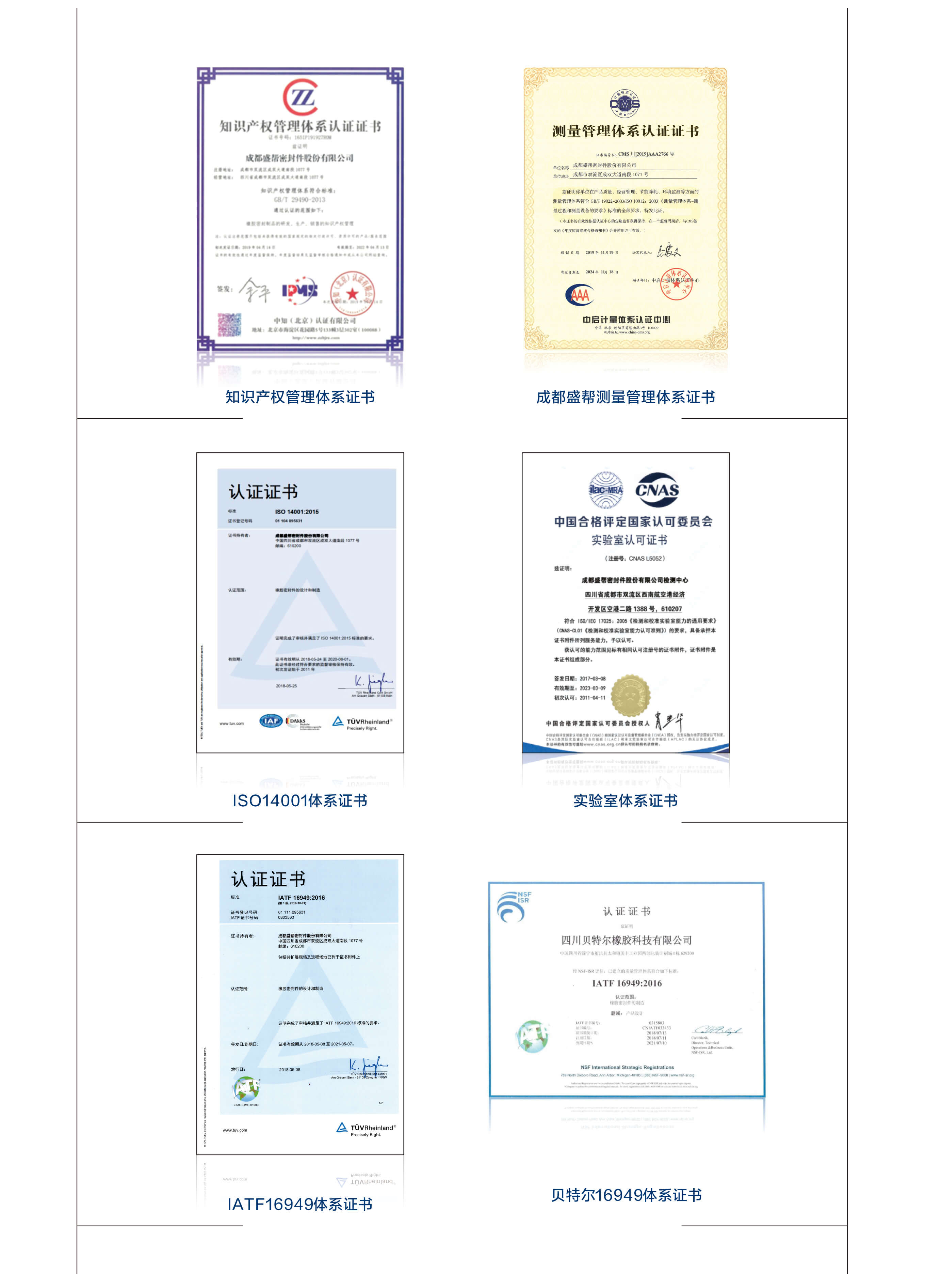 体系证书.jpg
